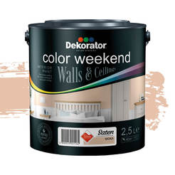 0203020168-dekorator-color-weekend-ip-2-5-l-moka_246x246_pad_478b24840a