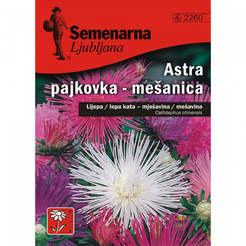 Flower seeds Astra Chinese mix Callistephus chinensis-Mix