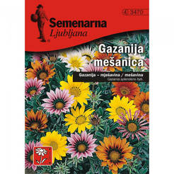 Семена цветов Газания Gazania splendens hib.-Mix