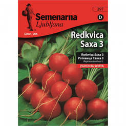 Семена за зеленчуци Репичка Сакса Radish Saxa 3