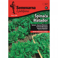 Семена за зеленчуци Спанак Матадор Spinach Matador