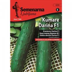 Cucumber seeds Darina Cucumbers Darina F1