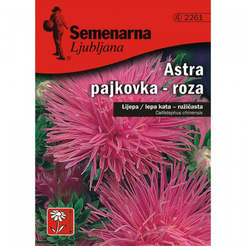Seeds for Chinese Aster Callistephus chinensis-Pink