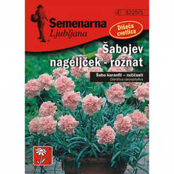 Seeds for Pink Carnation