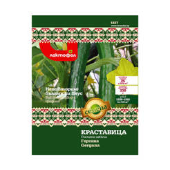 Gergana Cucumber Seeds - 1 g