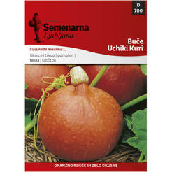 Seeds Pumpkin Uchiki Kuri 700 SEMENARNA