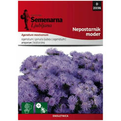 Seeds Ageratum blue 2036 SEMENARNA