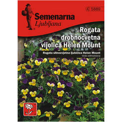 Violet seeds 5889 SEMENARNA