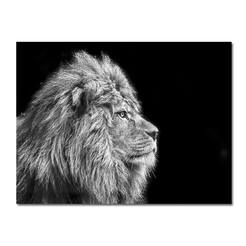 Painting Lion 70 x 100 cm, print glass, Glasspik Animals, GL104