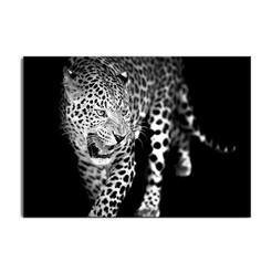 Картина Леопард 70 х 100см, принт стъкло, Glasspik Animals, GL105