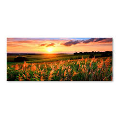 Glass picture for wall print glass 50 x 125 cm Solar field Glasspik NATURE EX253