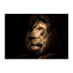 Стеклянная картина для настенного стекла с принтом 70 x 100 см Стекло с принтом льва, Glasspik Animals GL247