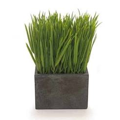 Artificial grass in a pot 10 x 10 x 18 cm