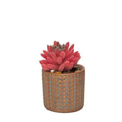 Artificial cactus in a pot 7.5 x 13 cm, red