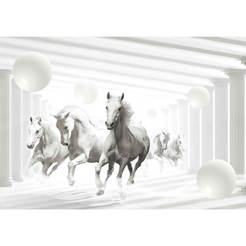 3D Wallpaper for the wall - White horses at a gallop 368 x 254 cm