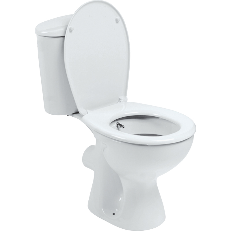 Моноблок с биде и задним сливом Ulysse/Style VIDIMA ? MASTERHAUS