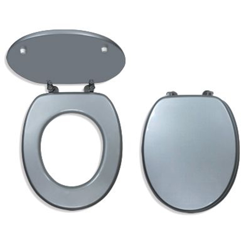 Toilet seat, silver color ⋆ MASTERHAUS