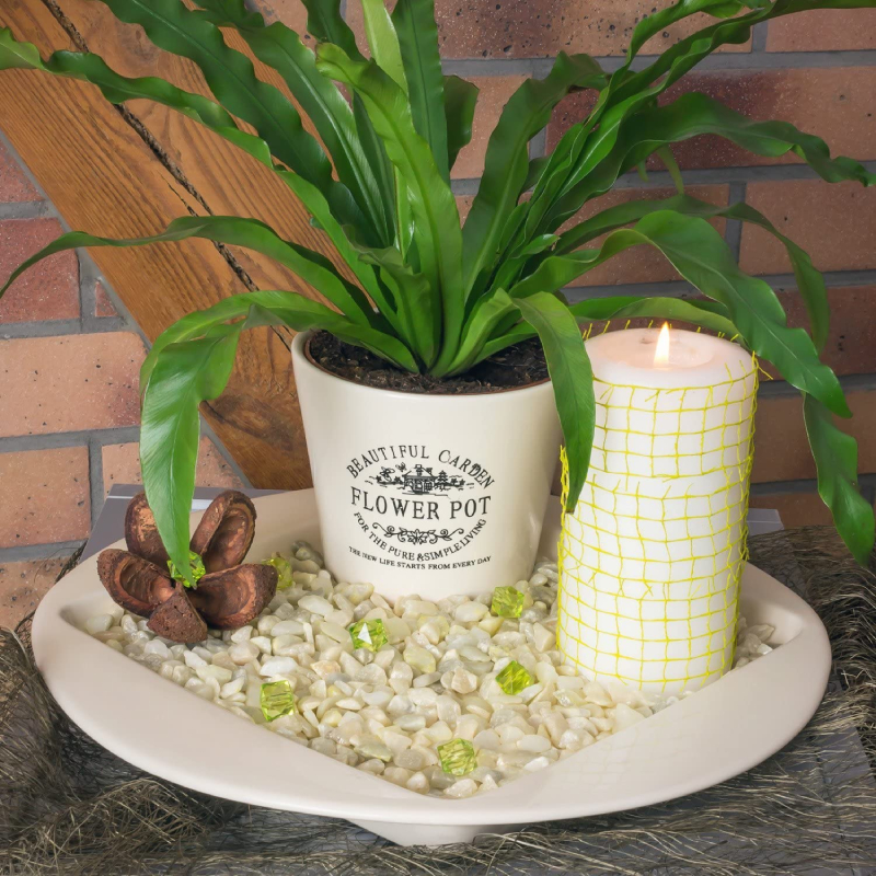 allium saatgut Buy chives  Gartenzauber