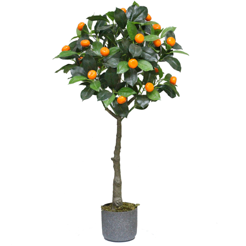 Arrangement of a tree in a pot Orange 1m ⋆ MASTERHAUS