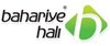 bahariye-hali_100x50_fit_478b24840a