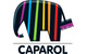 caparol_100x50_fit_478b24840a