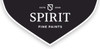 spirit_100x50_fit_478b24840a