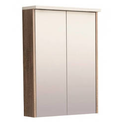 PVC Bathroom mirror cabinet with LED lighting 50 x 17 x 70 cm