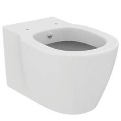 Connect toilet bowl - with hanging bidet fittings