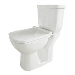 Rimless monobloc with rear drain and delayed drop seat 8036PP INTER CERAMIC