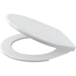 Antibacterial toilet seat A60