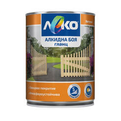 Alkyd paint for metal and wood Slightly glossy - 650ml, RAL 9016 traffic white
