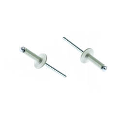 Popniete 4,0 x 12 mm, weiß, Aluminium, Standard, 45 Stück/Blister, 104-EB1010BL4012, BRALO