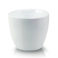 0502010787-kashpa-keramika-7h6sm-bjala-basic-cactus-polnix_246x246_pad_478b24840a