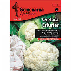 Семена за зеленчуци Карфиол Ерфрут Cauliflower Erfurter