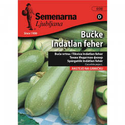 Zucchini seeds Marou Pumkin Indatlan feher