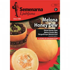Семена за Пъпеш Медена Роса Melon Honey Dew