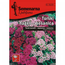 Семена за Турски карамфил