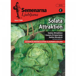 Seeds for Salad Attraction