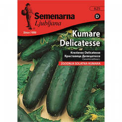 Seeds for Cucumber Delicacy