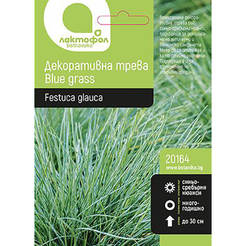 Семена Декоративна трева Blue grass