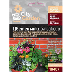 Seeds Flower mix for pots City Garden