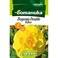 Begonia bulb double yellow 1pc.