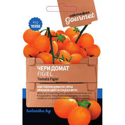 Cherry tomato seeds Figiel 0.5g gourmet