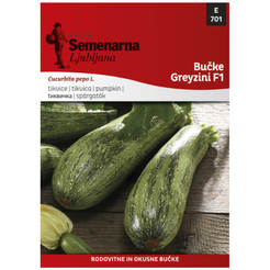 Seeds Zucchini Grezini F1