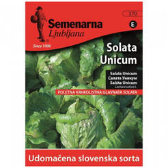 Seeds Lettuce Unicum 370 SEMENARNA