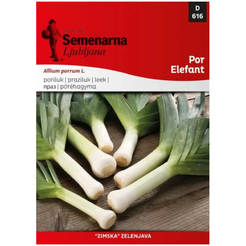 Семена лука-порея 616 SEMENARNA