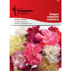 Seeds Clove shabo mix 3245 SEMENARNA