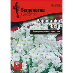 Семена Гипсофила бяла 3665 SEMENARNA