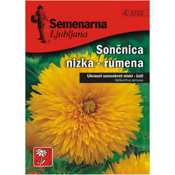 Семена Слънчоглед кичест жълт 3702 SEMENARNA