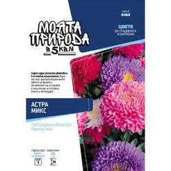 Astra mix flower seeds